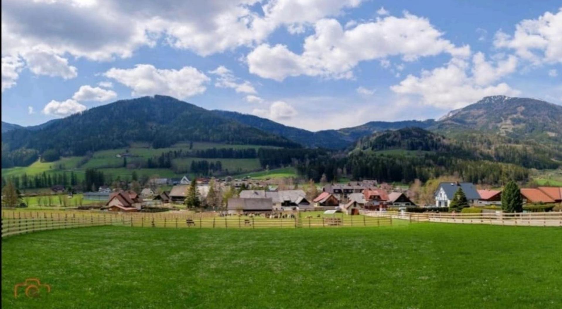 Alpakas, Lamas Und Rentiere Zum Gruenen See Grossdorf  Екстериор снимка